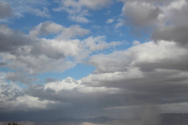Landscape of the desert, dry riverbed. Trees grow along the dry riverbed
