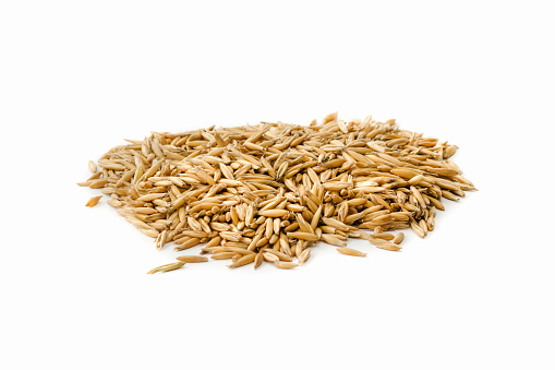 Raw oat grain on a white background. A pile of raw oats. Isolated.