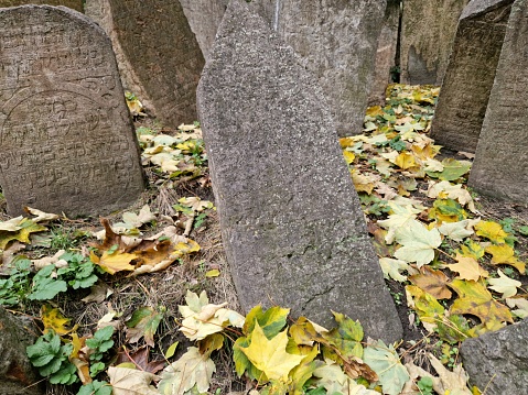 Old ancient tombstones at muslim cemetery park