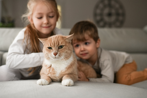 Brother and sister hugging a ginger cat