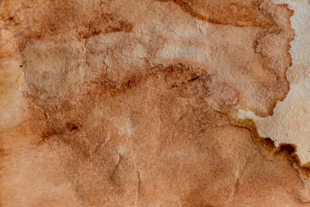 istock Blank old yellow aged paper vintage and texture background. 2010613071