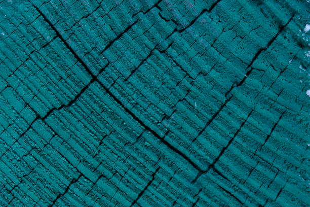Texture sawn wood is painted with green paint