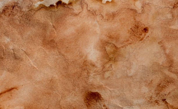 istock Blank old yellow aged paper vintage and texture background. 2010627440