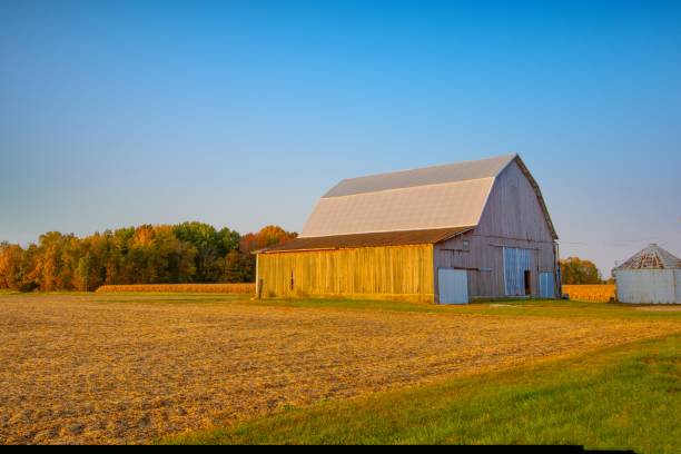 istock Old Weathered Barn with woods and corn field-Howard County, Indiana 2010629590