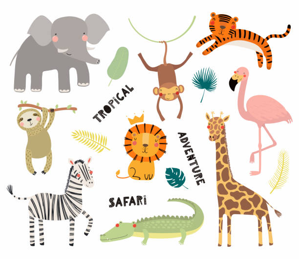 Cute tropical animals set Set of cute funny animals flamingo, sloth, crocodile, elephant, giraffe, lion, tiger, monkey, zebra. Isolated objects on white. Vector illustration Scandinavian style design Concept kids print tropical clipart stock illustrations