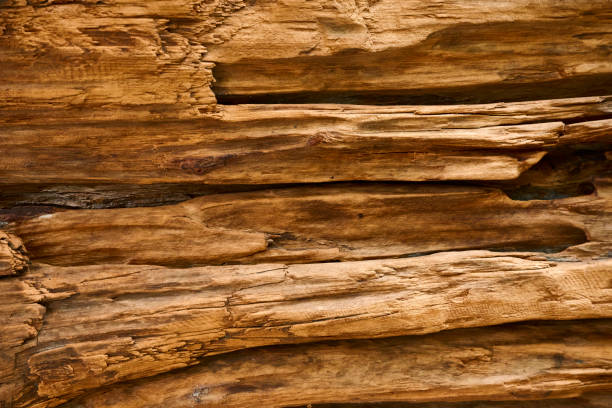 The wood is red and brown color with layers and lines like a rose petal. High angle view of a flat textured wooden board backgrounds. It has a beautiful nature and abstractive pattern. A close-up studio shooting shows details and lots of wood grain on the wood table. The piece of wood at the surface of the table also appears rich wooden material on it, shows elegant and soft textured. Flat lay style. Its high-resolution textured quality.