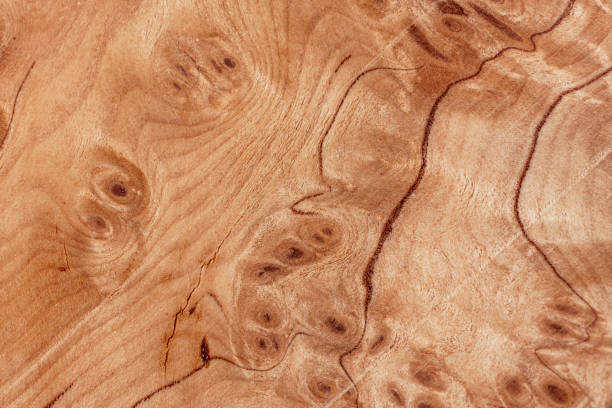 istock Close up on sample of wooden surface photo. 2010646582