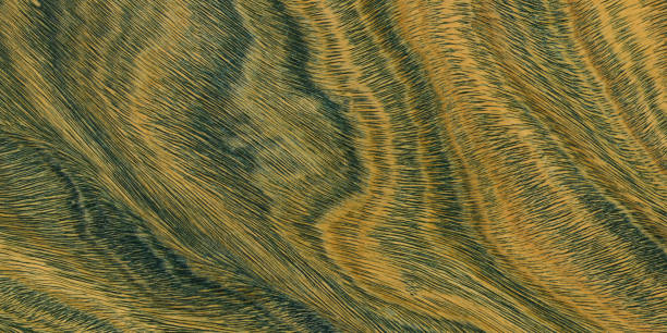 istock Green and brown PaloSanto wooden pattern. 2010649707