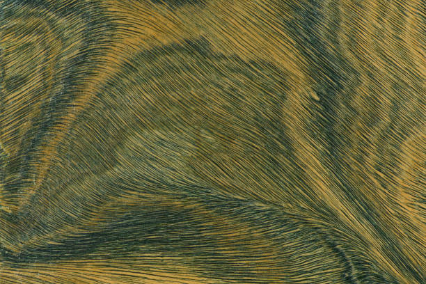 istock Green and brown PaloSanto wooden pattern. 2010650231