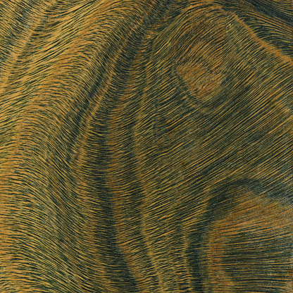 Natural wooden background close up