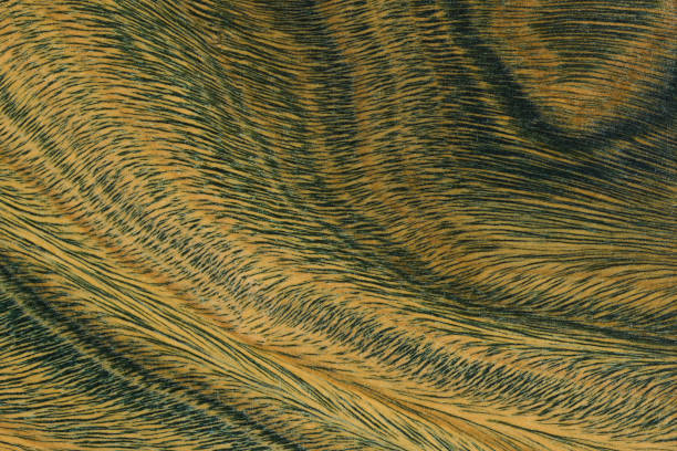 istock Green and brown PaloSanto wooden pattern. 2010652120