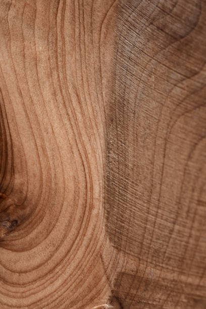 istock A fragment of wooden panel hardwood. Hi resolution. 2010654959