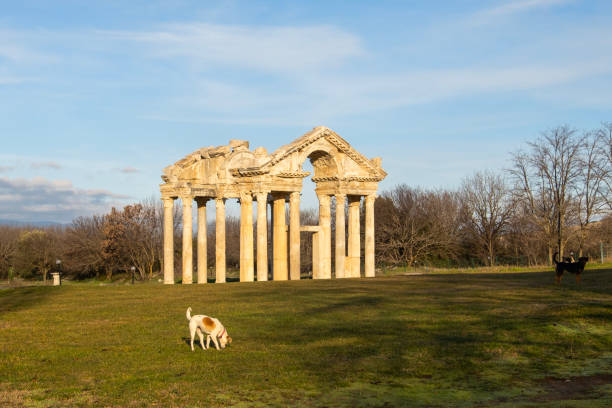 Aphrodisias is a small ancient Greek Hellenistic city located in the historical Carian cultural region of Western Anatolia, Turkey, and the dogs that lived there.