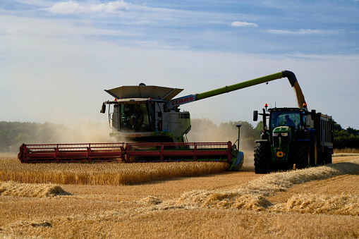 A Claas Lexion 770 harvester is seen working with a tractor collector the a barley field near Wymondham in Norfolk in late summer 2022.