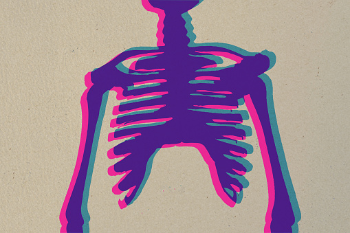 Human body, skeleton
