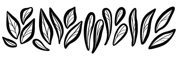 Line art leaf doodle set, hand drawn organic illustration of leaves, isolated