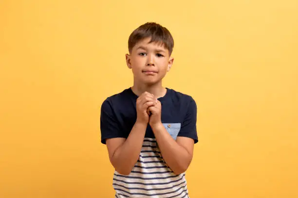 Photo of Funny boy begging for his request on yellow background