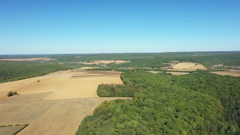 Green forests in the middle of the countryside after the harvest in Europe, France, Burgundy, Nièvre, in summer, on a sunny day.