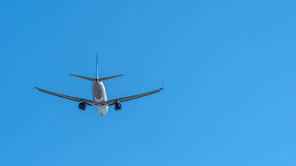 Miami, USA - February 14, 2024: United Airlines airplane (Boeing 737-8 Max) taking off from Miami International Airport. United Airlines is the third-largest airline in the world after its merger with Continental Airlines.