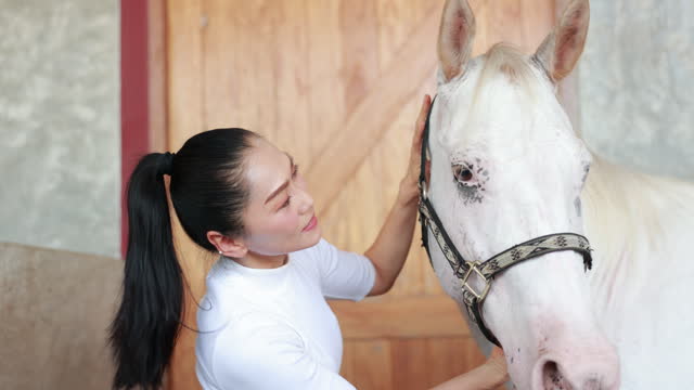 Rural Responsibility: Asian Woman Engaged in Loving Horse Care Routine on Sunny Day at the Farm | Equestrian Lifestyle Scene