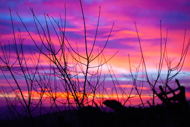 Stunning sky colours on sunrise, colorfull sky