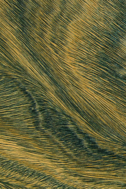 istock Green and brown PaloSanto wooden pattern. 2010757512