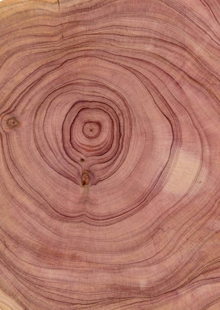istock A full frame nature wood grain surface as design background. 2010762286