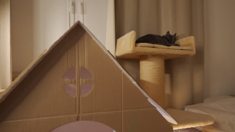 paper house for kids as cardboard cat playhouse