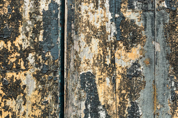 Weathered and scratched rustic wooden board.High angle view of a flat textured wooden board backgrounds. It has a beautiful nature and abstractive pattern. A close-up studio shooting shows details and lots of wood grain on the wood table. The piece of wood at the surface of the table also appears rich wooden material on it. The wood is dark brown color with darker brown lines and pattern on the bottom. Flat lay style. Its high-resolution textured quality.The close-up gives a direct view on the table, showing cracks and knotholes in the wood.
