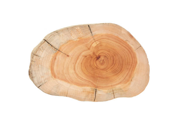 istock Wooden cutting board isolated on white background 2010768887