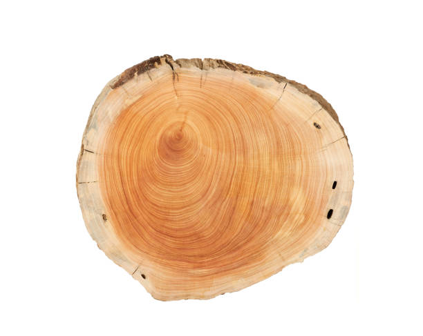 istock Wooden cutting board isolated on white background 2010768889