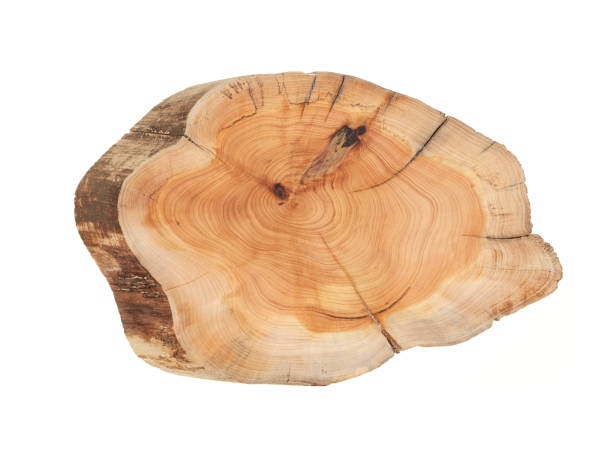istock Wooden cutting board isolated on white background 2010770461