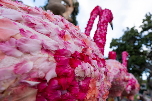 Pasadena Rose Parade float with flamingos made of flowers.