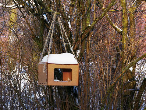 A brown bird feeder made of wood and plywood covered with snow hangs on a rope on tree branches in winter.