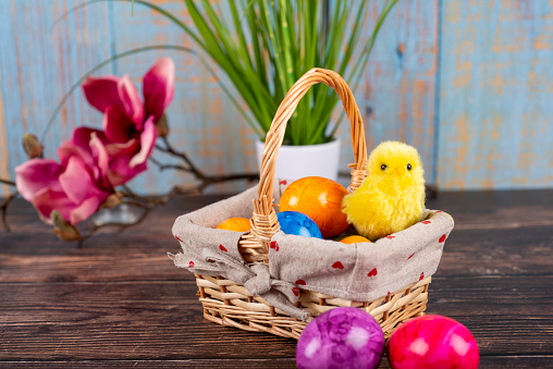 Easter. Basket with painted Easter eggs and chicks
