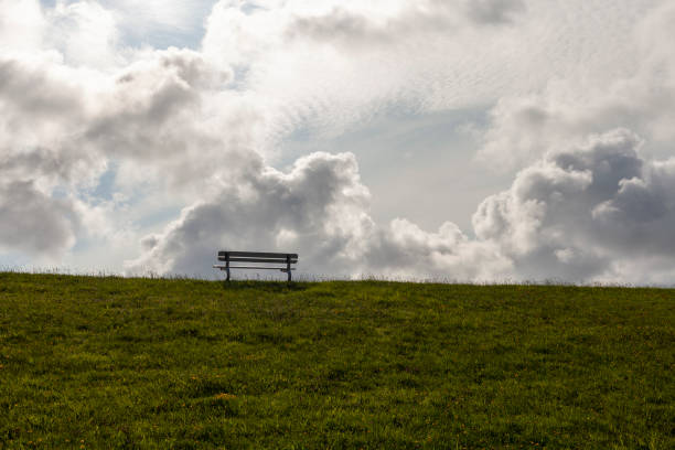 Bench on a meadow with green grass and clouds in the background