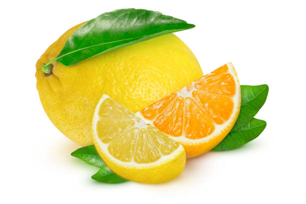 istock Orange and lemon on isolated white background. 2010802195