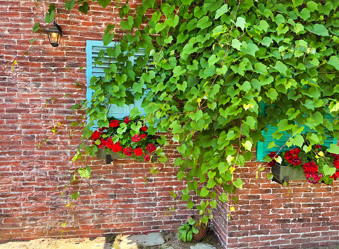 Beautiful bricks house facade  with colorful shutters and flowers