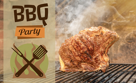 loseup of roasted steak on a barbecue grill. Bbq party, recreation, meat cooking graphic concept.