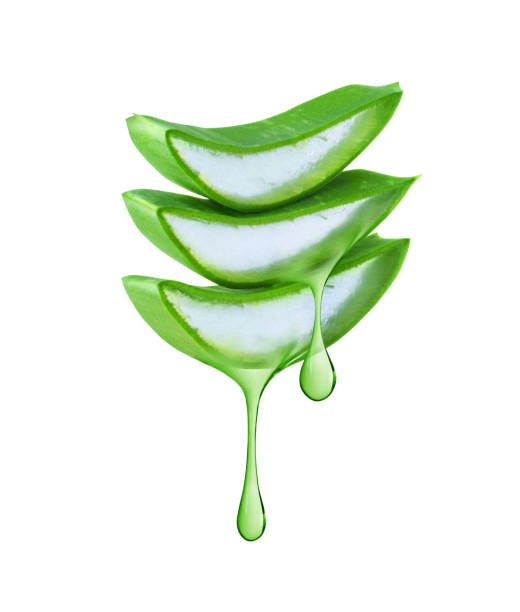 istock Thick drops of juice leaking from a sliced Aloe Vera leaf isolated on a white background 2010853029