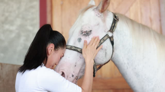 Rural Responsibility: Asian Woman Engaged in Loving Horse Care Routine on Sunny Day at the Farm | Equestrian Lifestyle Scene