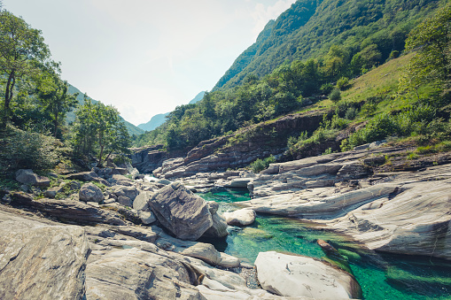 Beautiful summer background with green trees near the blue water near the lake, summer bright background