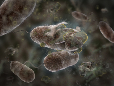 Bacteria Germ Pathogen 3D Illustration