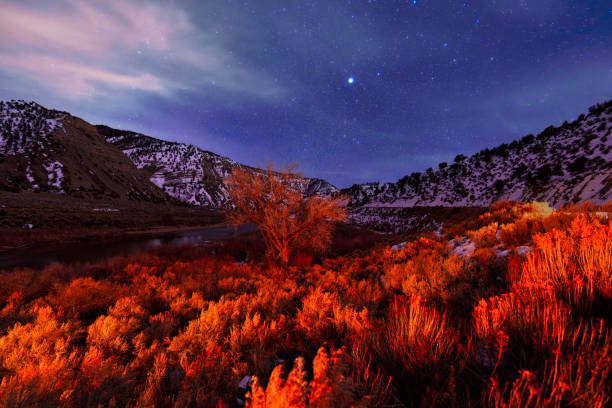 surreale paesaggio astro notturno lungo il fiume panoramico - astro photography foto e immagini stock