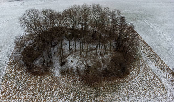 istock Group of trees in a snowy field captured with a drone 2010960782