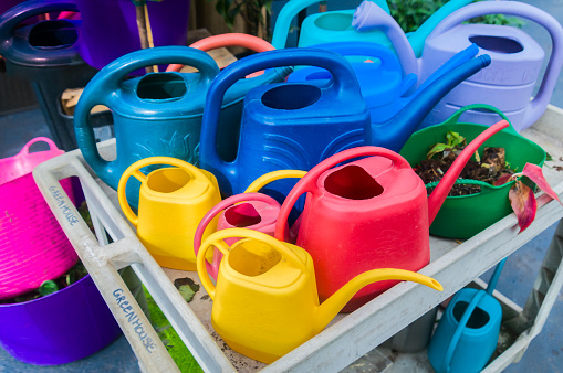A working greenhouse cart is loaded with an array of colorful  plastic watering cans inside a garden center on Cape Cod.