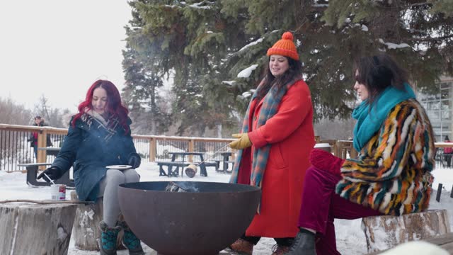 Fireside Gathering: Trans Women and Chosen Family Roast Marshmallows