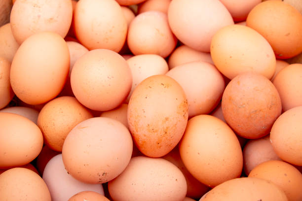 istock Pile of raw brown chicken eggs, top view 2011050114