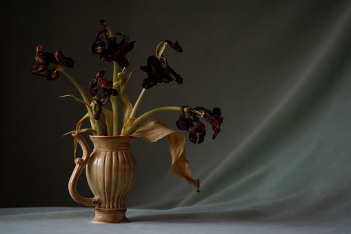 Jug with wilted tulips  in a romantic and elegant atmosphere created by the vibrant colors of greenish velvet; Tulip