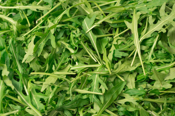istock Fresh leaves of arugula as a background. 2011080047
